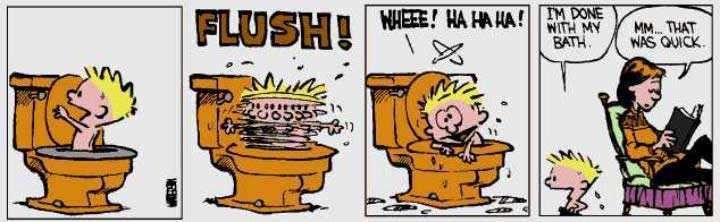 Calvin & Hobbes in bad
