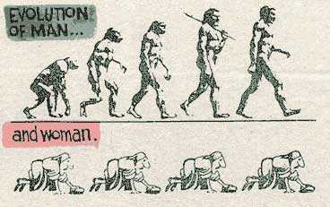 Evolution of man and woman