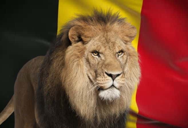 De leeuw van België
