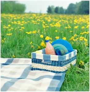 Picknick met dekentje en mand tussen de bloemen in het gras
