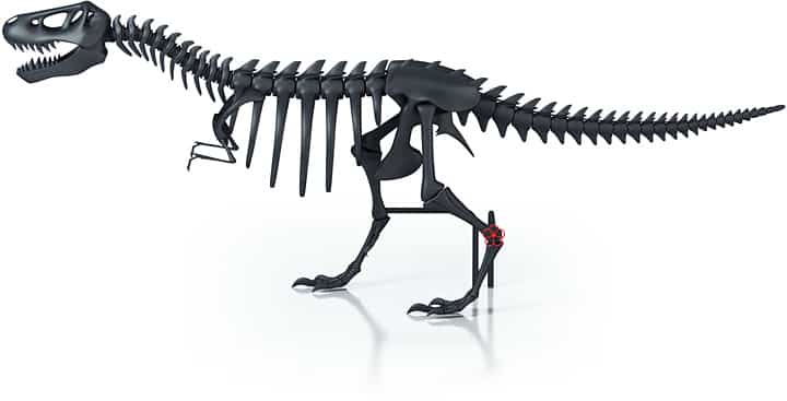 Thermosaurus Rex
