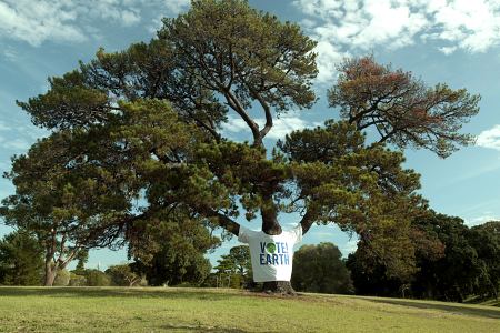 Tree wearing t-shirt